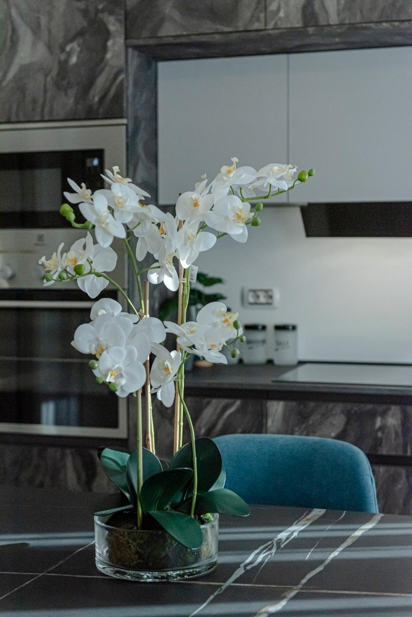 Bed & Breakfast Il Narciso 로마 외부 사진
