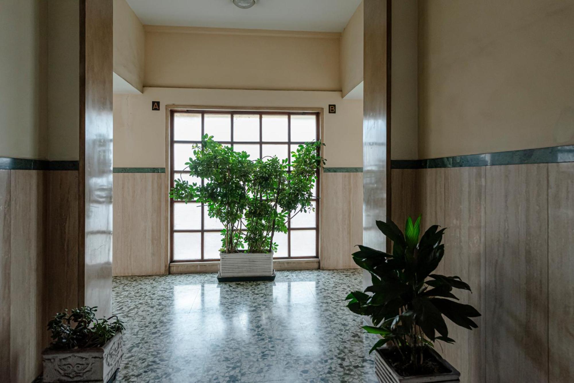 Bed & Breakfast Il Narciso 로마 외부 사진